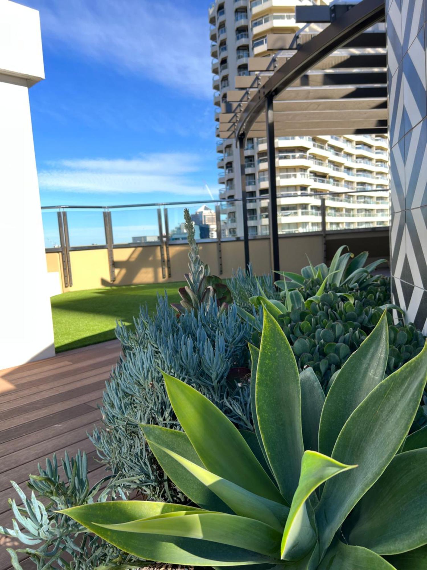 Sydney Hyde Park Private Apartments By Paxsafe Exterior photo